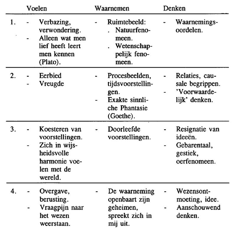 Fenomenologie als de kunst van het waarnemen en denken in vier stappen