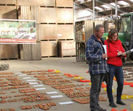 Veredelaars van het Louis Bolk Instituut in actie
