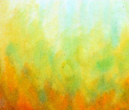 Licht, warmte, leven - Irene van der Laag